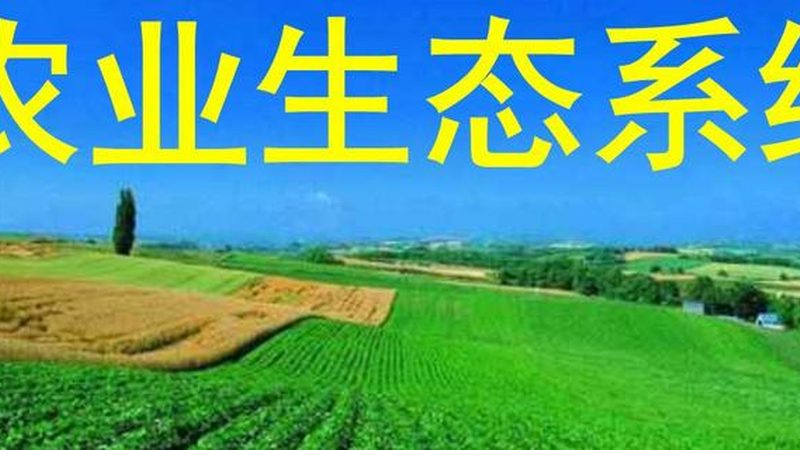 智慧农业种植系统：引领未来农业发展的十大品牌解析