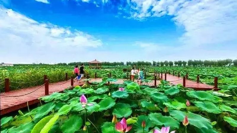农业种植机械：价格之外，你还需要了解这些