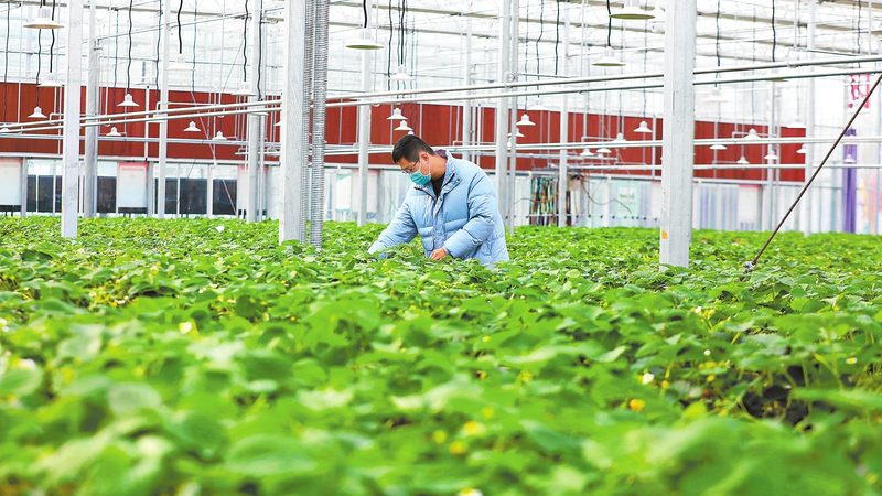 智慧农业种植系统：参数配置的关键要素