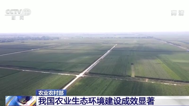 农村种植合作社：构建现代农业的生力军