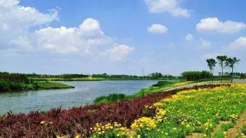 农产品供应链金融与物流金融：本质区别与运用场景**