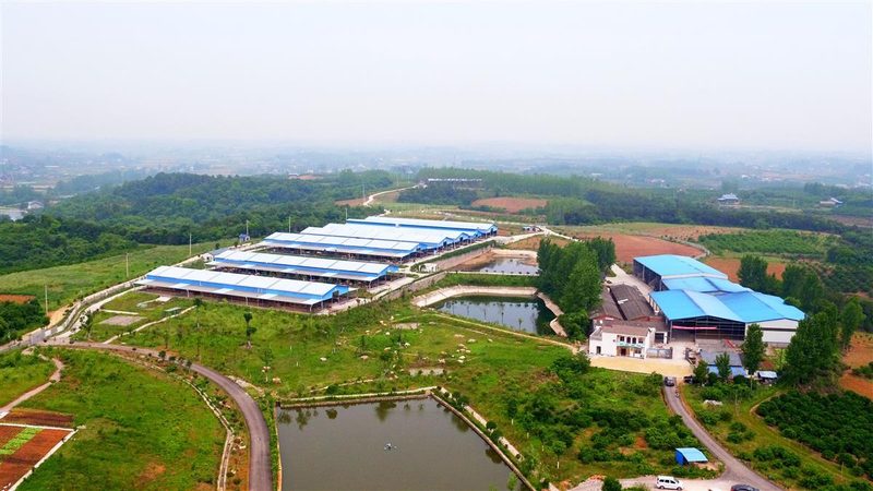 行业背景：智慧农业的兴起与市场潜力