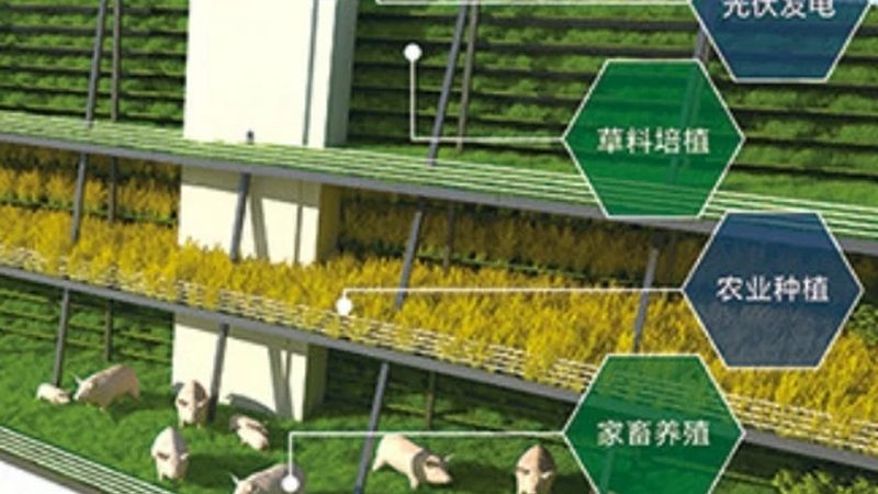 青岛农产品批发基地采购指南：如何选择优质农产品