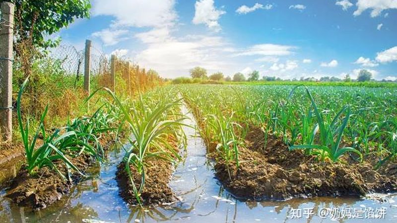 农业机械价格表背后藏着哪些门道