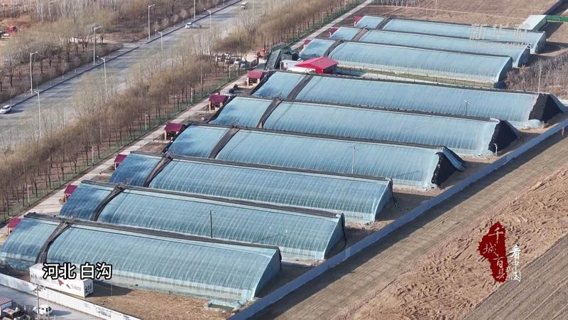从播种到采收：不同农业种植方法的流程与效果对比