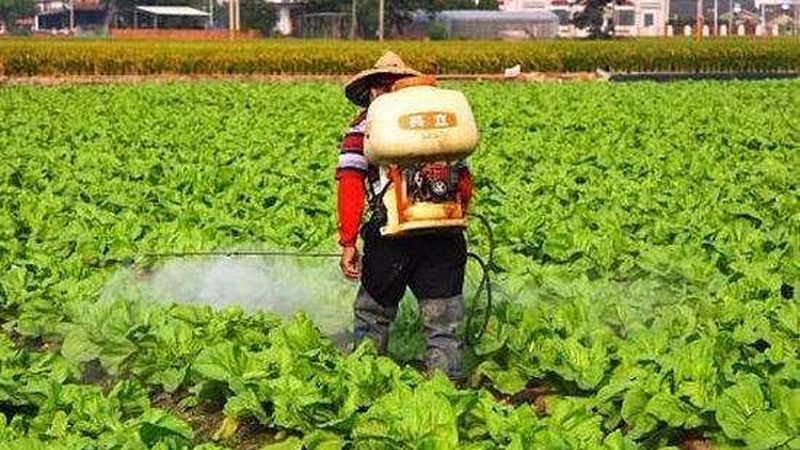 成都绿色食品标志续展，流程详解助力企业合规发展